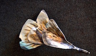 Fermaglio
